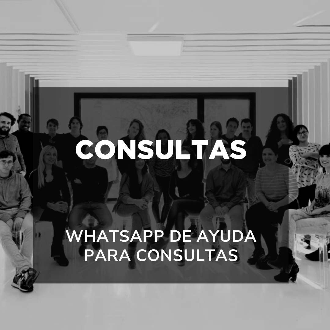 CONSULTAS